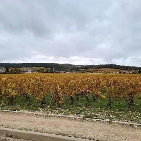 T1 Bis Rdc, Calme, Terrasse, We Et Teletravail Dijon
